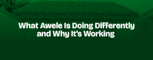 Read more about the article You Don’t Just Buy Land at Awele. You Join a Vision